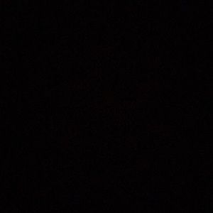 Meet your Posher, Ashlynn